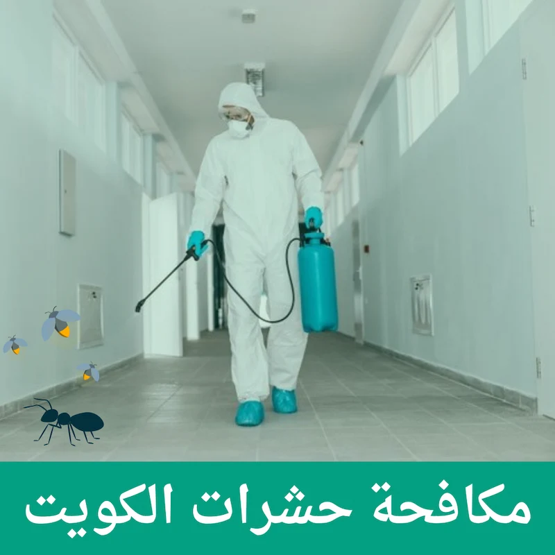 You are currently viewing مكافحة النمل الابيض في الكويت – 51693608