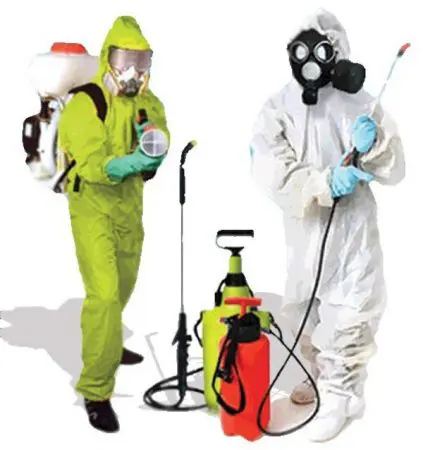 You are currently viewing مكافحة حشرات جنوب الجهراء – 51693608